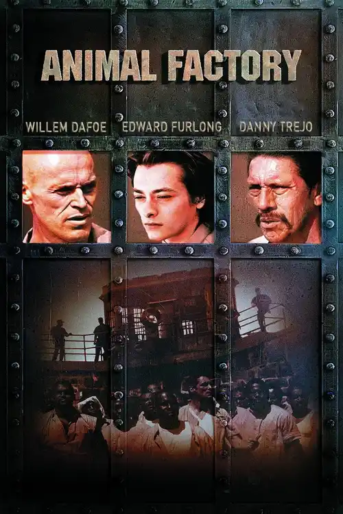 Download Animal Factory (2000) Dual Audio {Hindi English} 480p [300MB] | 720p [1GB]