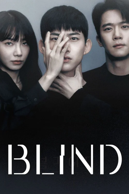 Download Blind (2022) Season 1 [S01E16 Added] {Korean With English Subtitles} 720p [250MB] WEB DL
