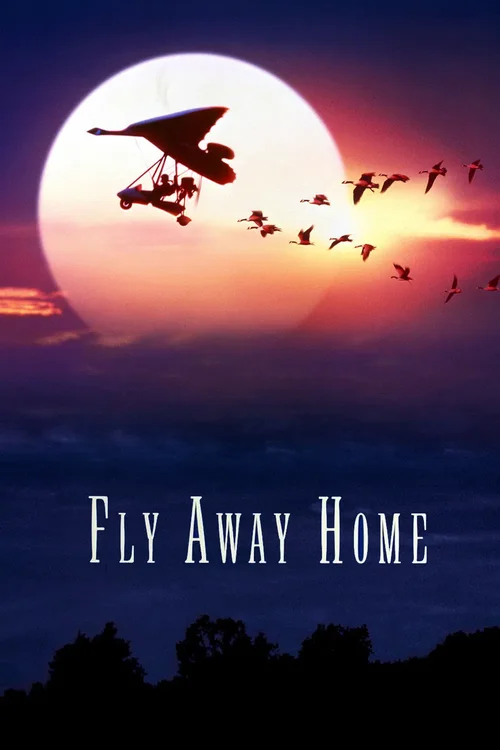 Download Fly Away Home (1996) BluRay Dual Audio {Hindi English} 480p [400MB] | 720p [1GB] | 1080p [2.2GB]