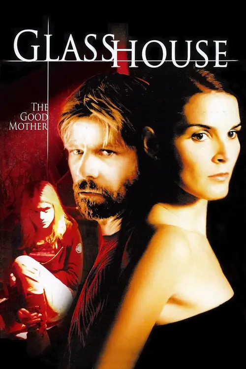 Download Glass House The Good Mother (2006) Dual Audio {Hindi English} BluRay 480p [350MB] | 720p [950MB]