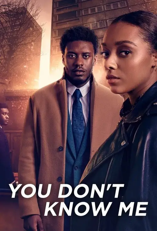 Download You Don’t Know Me (Season 1) Dual Audio [Hindi English] Complete Netflix Web Series 480p | 720p | 1080p WEB DL